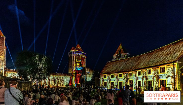 Lumières de Blandy : l'héritage des vicomtes, le spectacle sons et lumières -  A7C8086