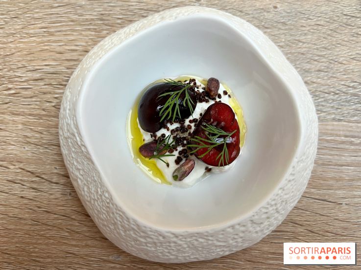 ERH - Burrata, cerise, moutarde torréfiée