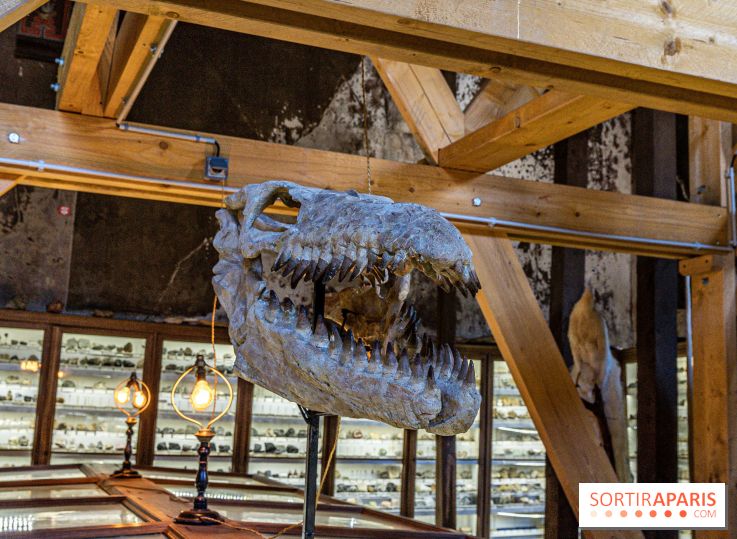 Un dinosaure géant au Château de Dampierre - Jurassique au Château de Dampierre -  A7C8908