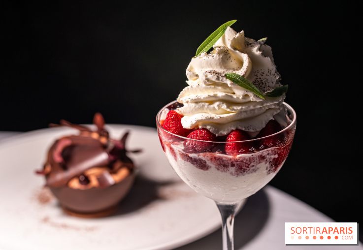 La terrasse dans un jardin avec vue Tour Eiffel du Marguerite 1606 au Domaine de la Reine Margot - A7C1378