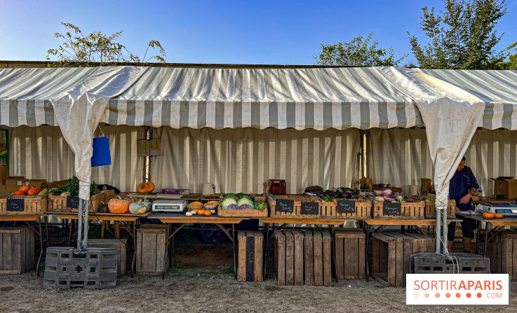 Les Saveurs du Potager du Roi à Versailles : marché de fruits & légumes, expositions et animations
