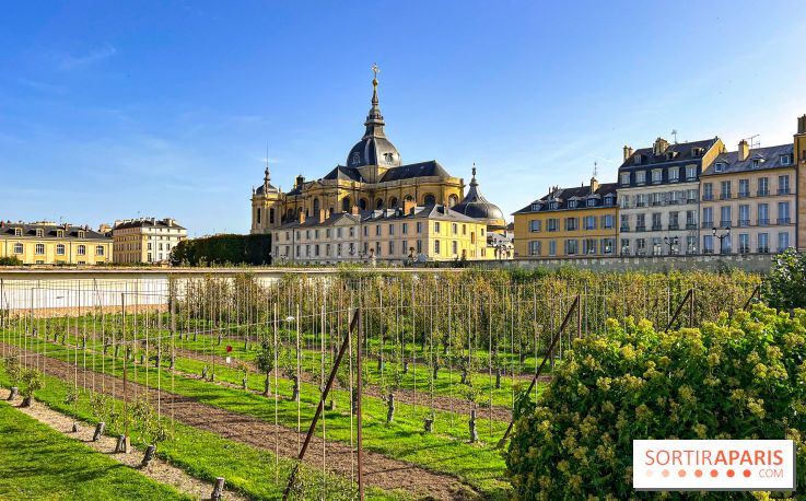 Les Saveurs du Potager du Roi à Versailles : marché de fruits & légumes, expositions et animations