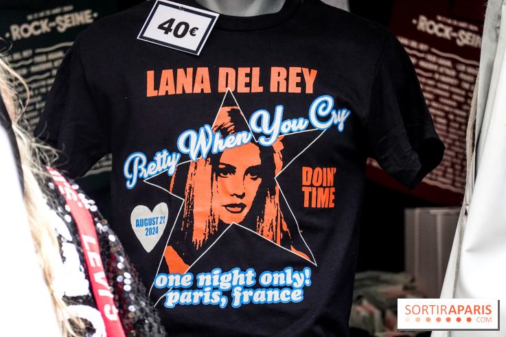 Rock en Seine 2024, nos photos