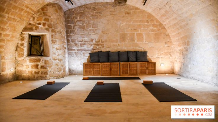 Maison Alaena, le repaire du bien-être à République - DSC 2037 2