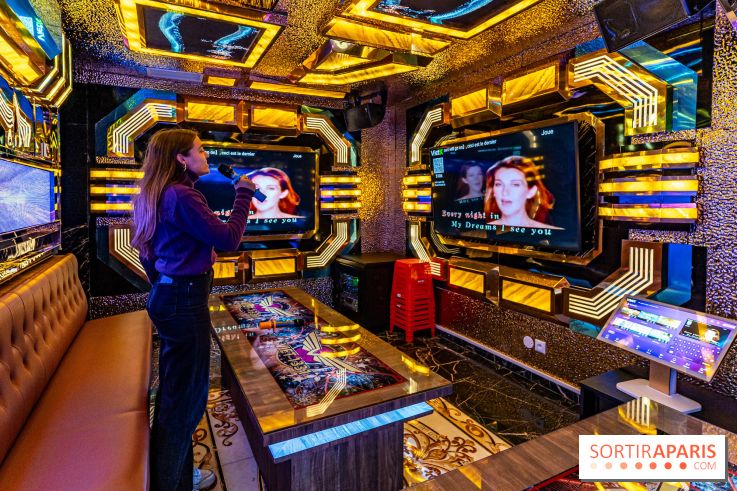 Viet 1331, le restaurant karaoké vietnamien immersif du 13e - salle karaoké