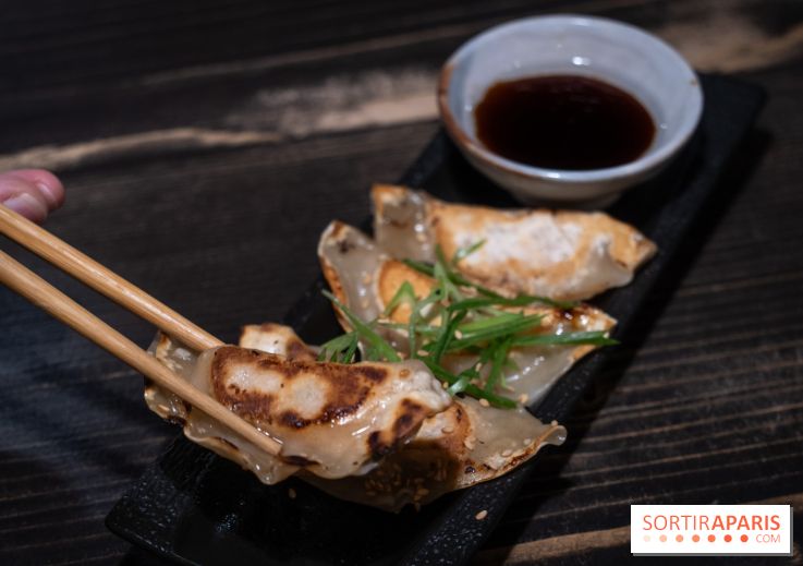 Gaijin Ramen restaurant -  Gyoza