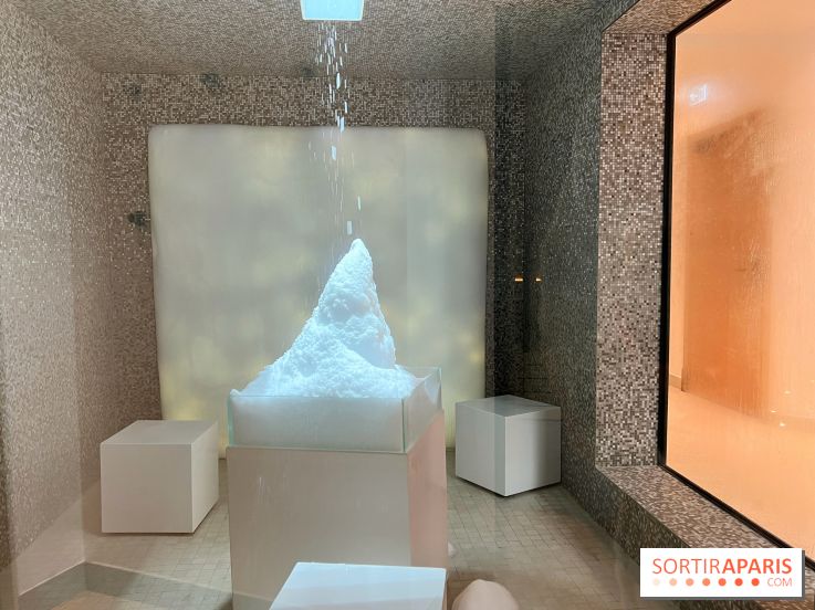 Dolce by Wyndham Versailles - Domaine du Montcel