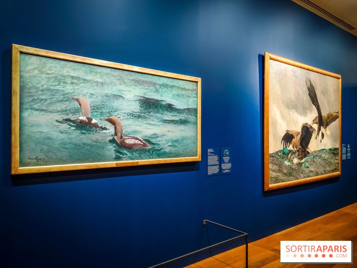 Bruno Liljefors, la Suède sauvage : l'exposition poétique se dévoile en images au Petit Palais - IMG20240930101553