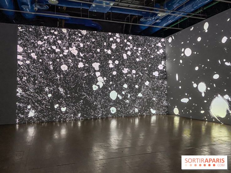 Prix Marcel Duchamp 2024 au Centre Pompidou
