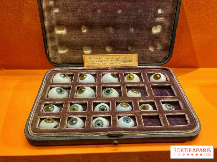 Merveilles - Sèvres - IMG 5130