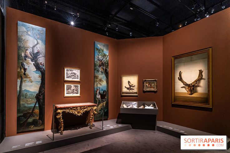 Les photos de l'exposition Oudry, peinte de courre au Château de Fontainebleau