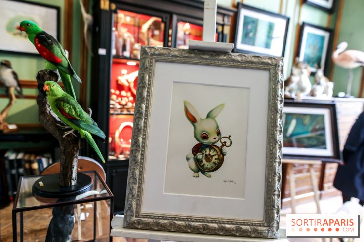 Benjamin Lacombe, nos photos de son exposition chez Deyrolle à Paris