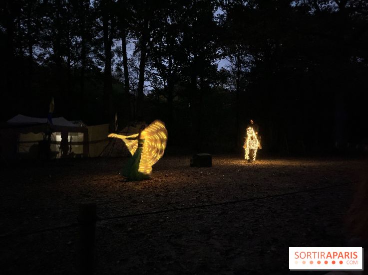 Les Esprits de la Forêt - IMG 5639