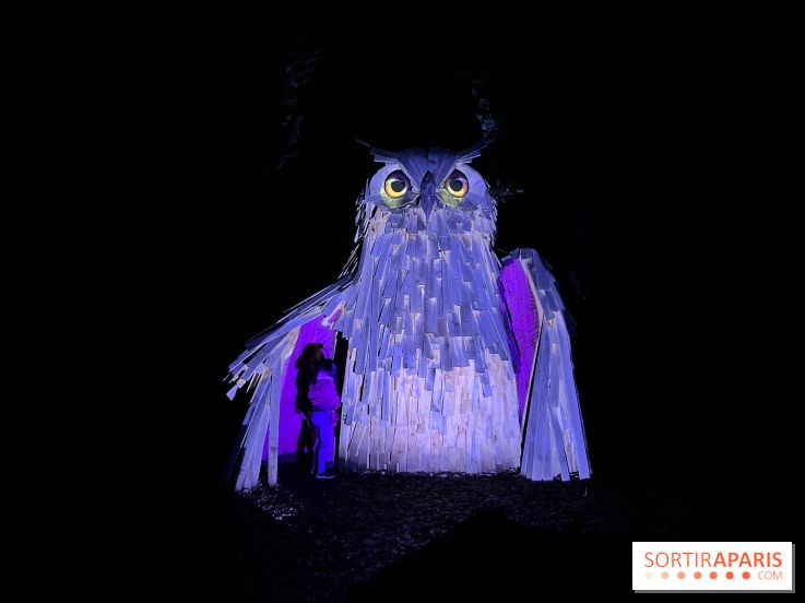 Les Esprits de la Forêt - IMG 5671