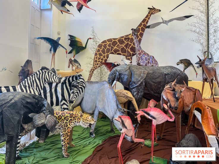 La faune en plis - nos photos - image00025