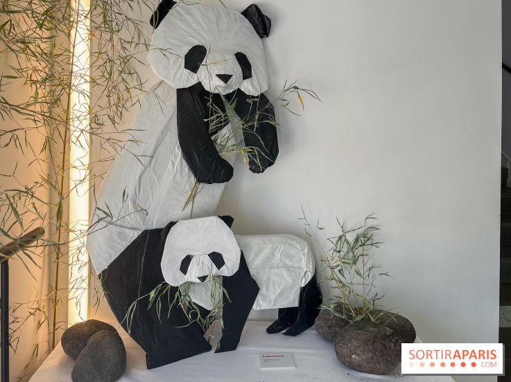 La faune en plis - nos photos - image00021