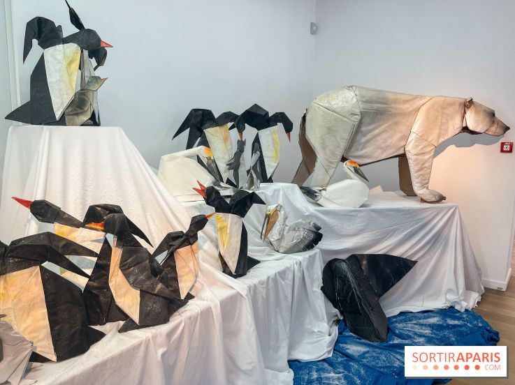 La faune en plis - nos photos - image00019