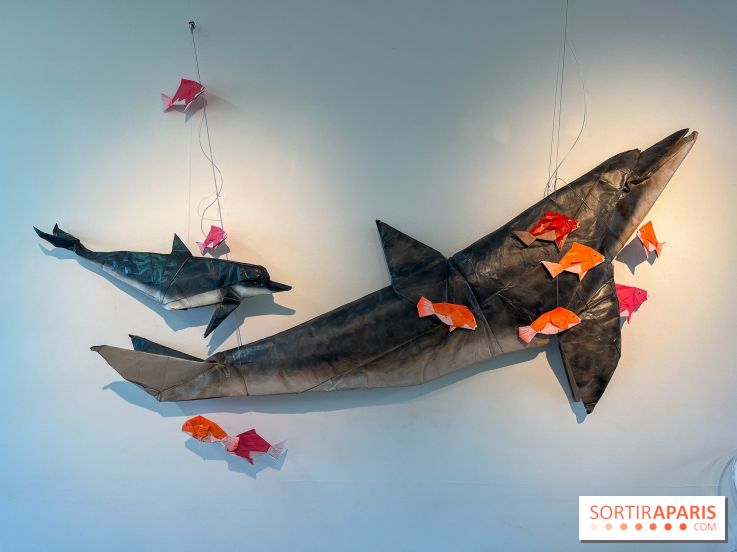 La faune en plis - nos photos - image00015