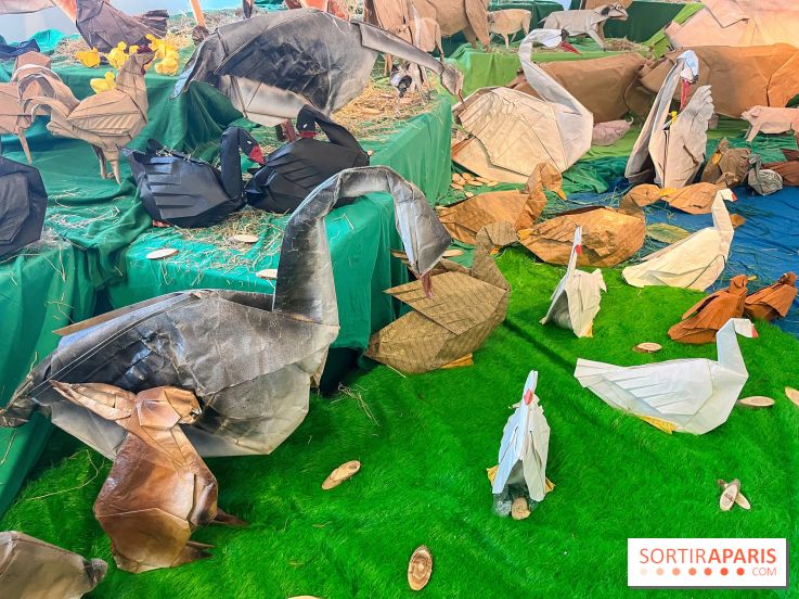 La faune en plis - nos photos - image00008