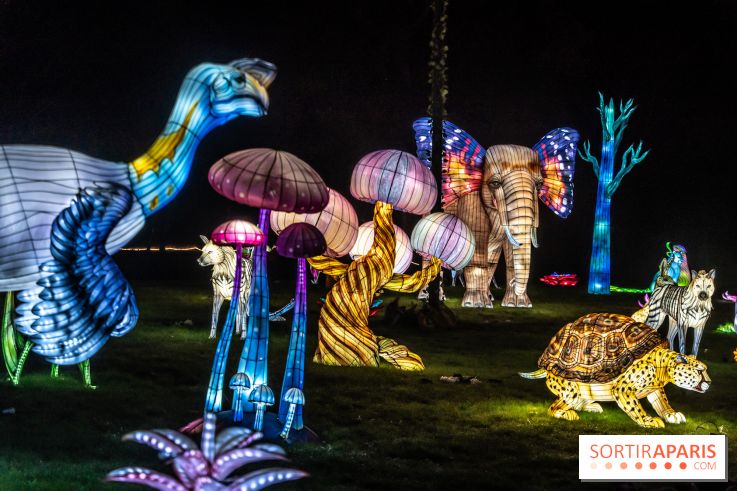 Thoiry Lumières Sauvages 2024, les Voyages Extraordinaires de Jules Verne - photos
