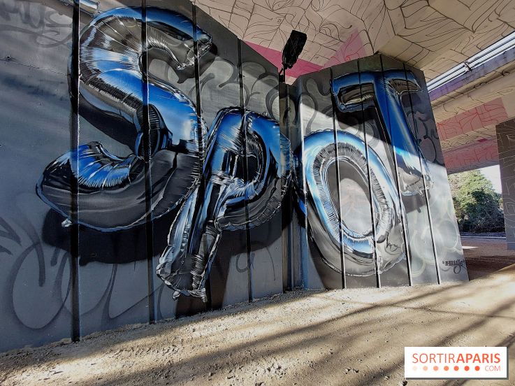 LE SPOT à Joinville-le-Pont, nos photos - LE SPOT 26 fotor 20250104123133 bis