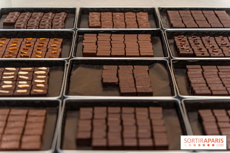 La chocolaterie William Artigue et ses chocolats de Noël 2024 -  A7C5853