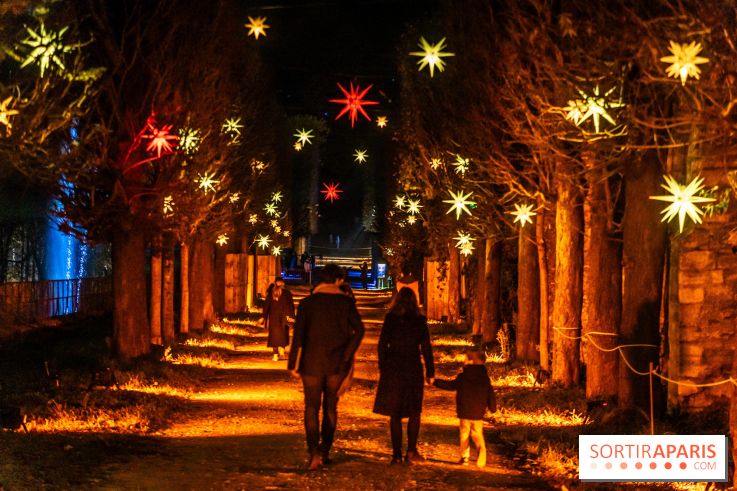 Lumières en Seine 2024, le parcours de lumières féérique et animé - A7C6590