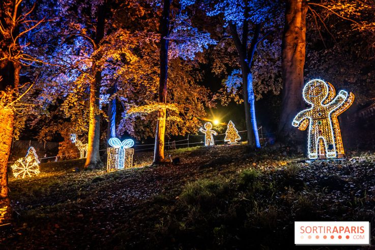 Lumières en Seine 2024, le parcours de lumières féérique et animé - A7C6617