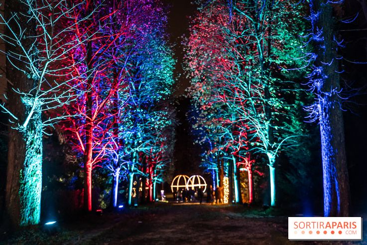 Lumières en Seine 2024, le parcours de lumières féérique et animé - A7C6741