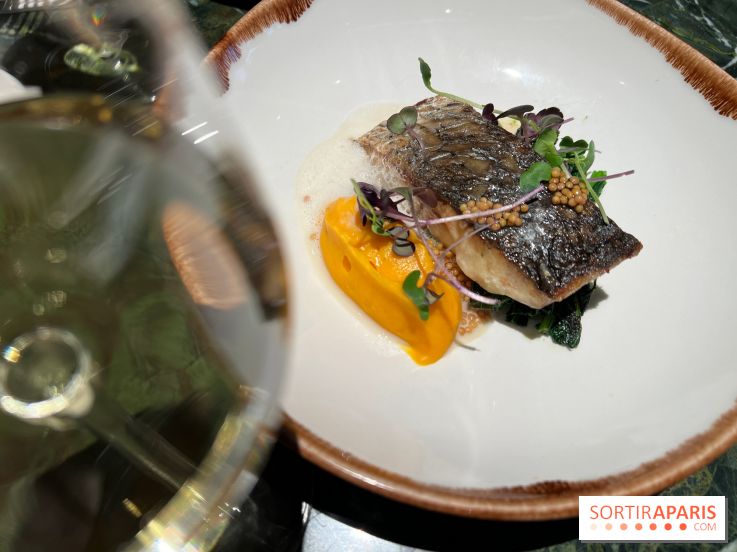 Onyx - Poisson, carotte, gingembre