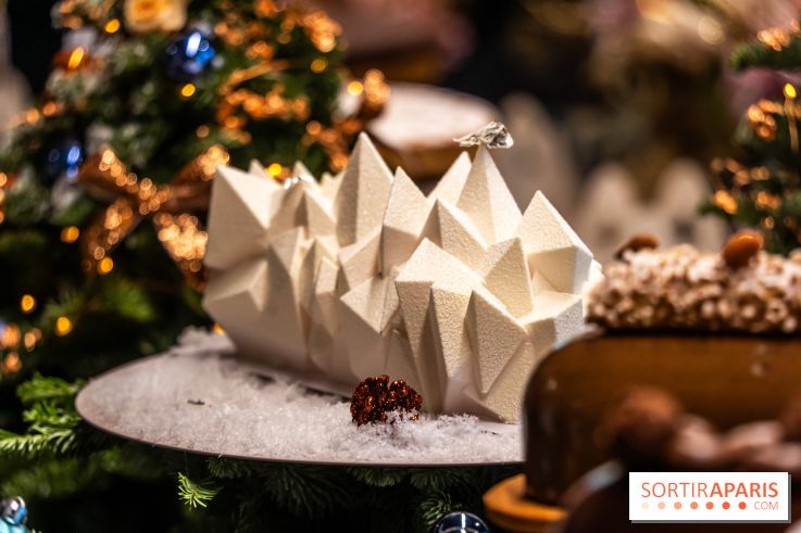 Les bûches de Noël de Jeffrey Cagnes 2024 - photos -  Montage exotique - Cupra