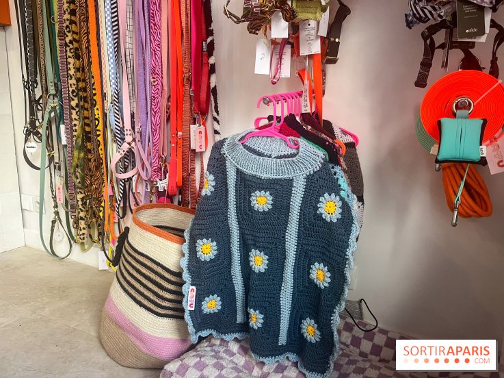 CAYU Canidés Club, la boutique d'accessoires dog friendly - nos photos
