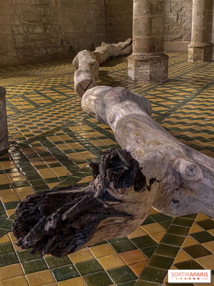 En deçà de l’invisible : Cécile Beau et Grégoire Scalabre s'exposent à l'Abbaye de Maubuisson - IMG 1503