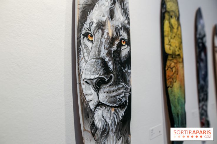 Boards to be solidaire 2024, nos photos - IMG 6875