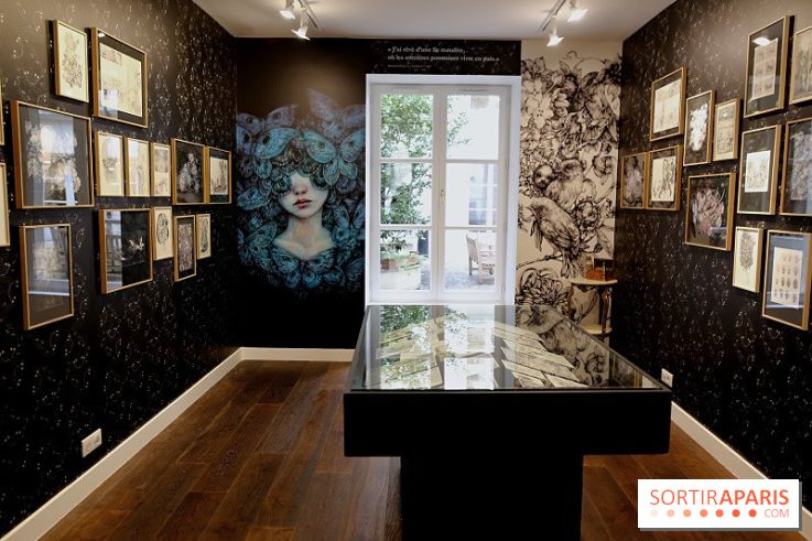 Benjamin Lacombe à la Galerie Gallimard, nos photos - bis