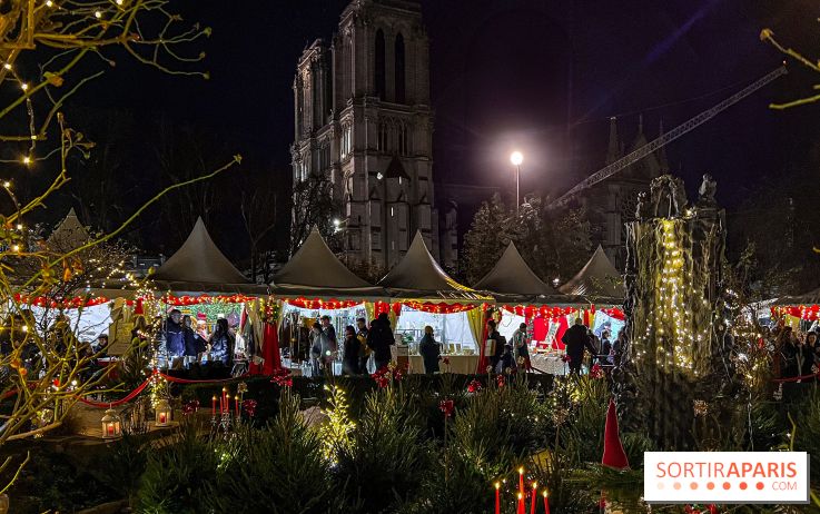Le Marché de Noël de Notre Dame - IMG 2783 jpg