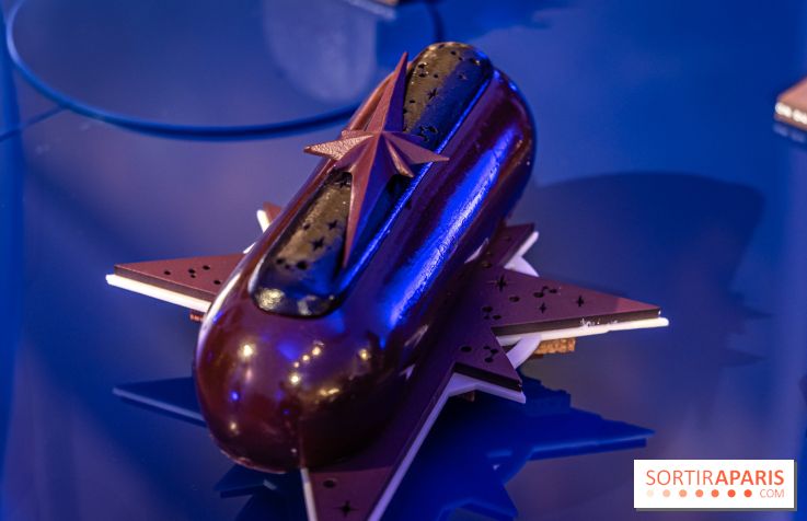 Les bûches et chocolats de Noël de la Maison du Chocolat 2024 -  A7C8367