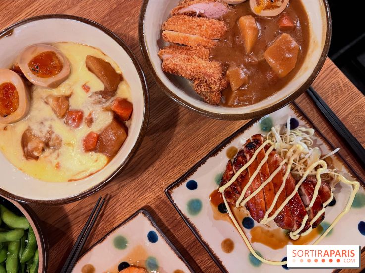 Jinchan Yokocho - Curry japonais