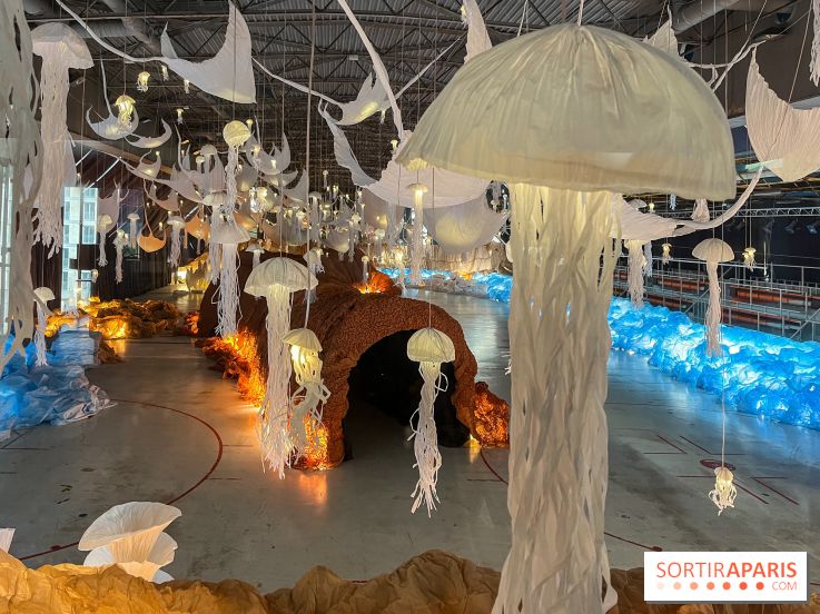 L'océan de Léa, l'exposition événement à la patinoire de Saint-Ouen - nos photos - image00008