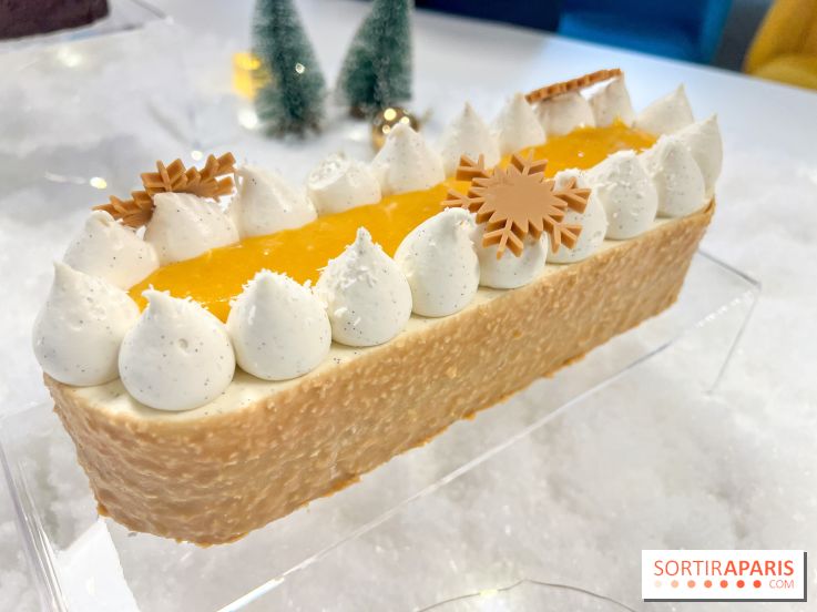 Bûches de Noël 2024 Bo&Mie - Flocon Exotique