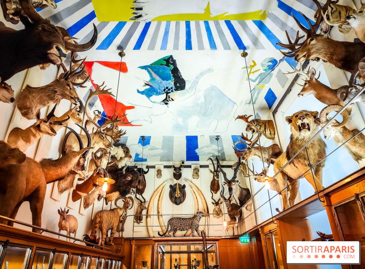 Musée de la chasse et de la nature - collections permanentes et visuels