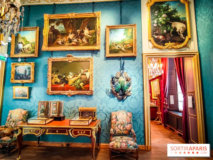 Musée de la chasse et de la nature - collections permanentes et visuels