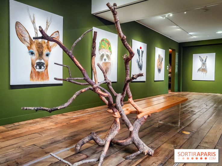 S'éclairer sans fin : l'exposition poétique d'Edi Dubien au musée de la Chasse et de la Nature - photos