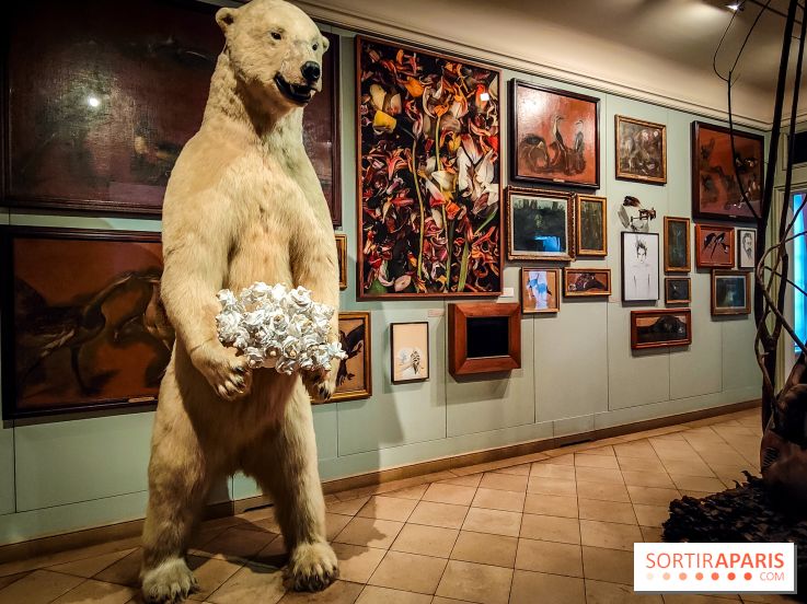 S'éclairer sans fin : l'exposition poétique d'Edi Dubien au musée de la Chasse et de la Nature - photos - IMG20241209152603