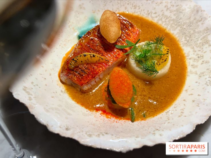 Virtus - Rouget à la flamme