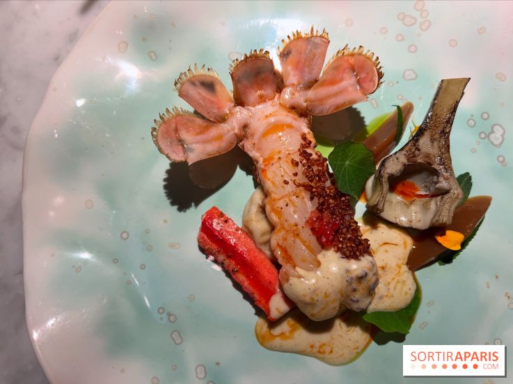 Virtus - Langoustine au sarrasin