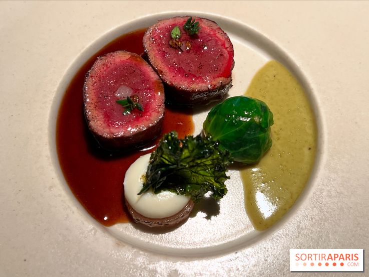 Virtus - Dos de chevreuil de Sologne