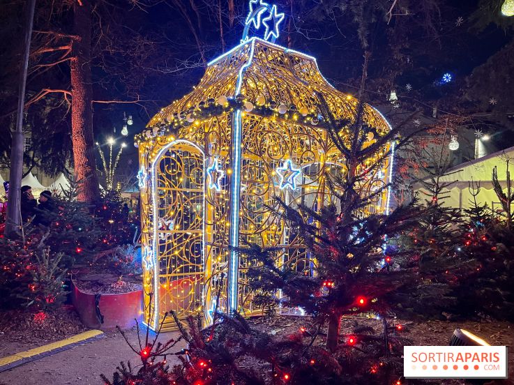 Bel Hiver Saint-Denis 2024 - nos photos - image00003