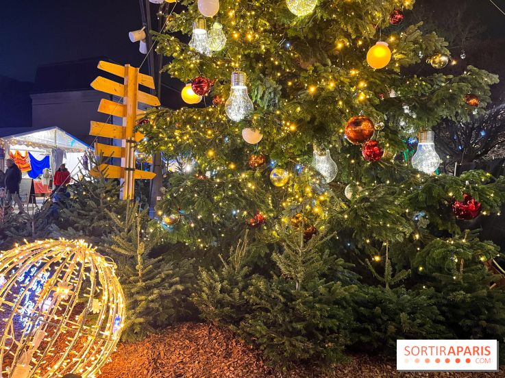 Bel Hiver Saint-Denis 2024 - nos photos - image00005