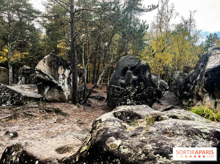 Les 25 bosses - photos - image00084